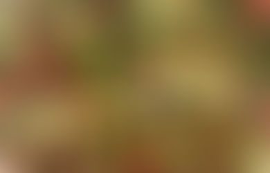 Vegan Mediterranean Chopped Salad