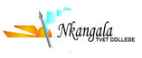 Nkangala logo.jpg