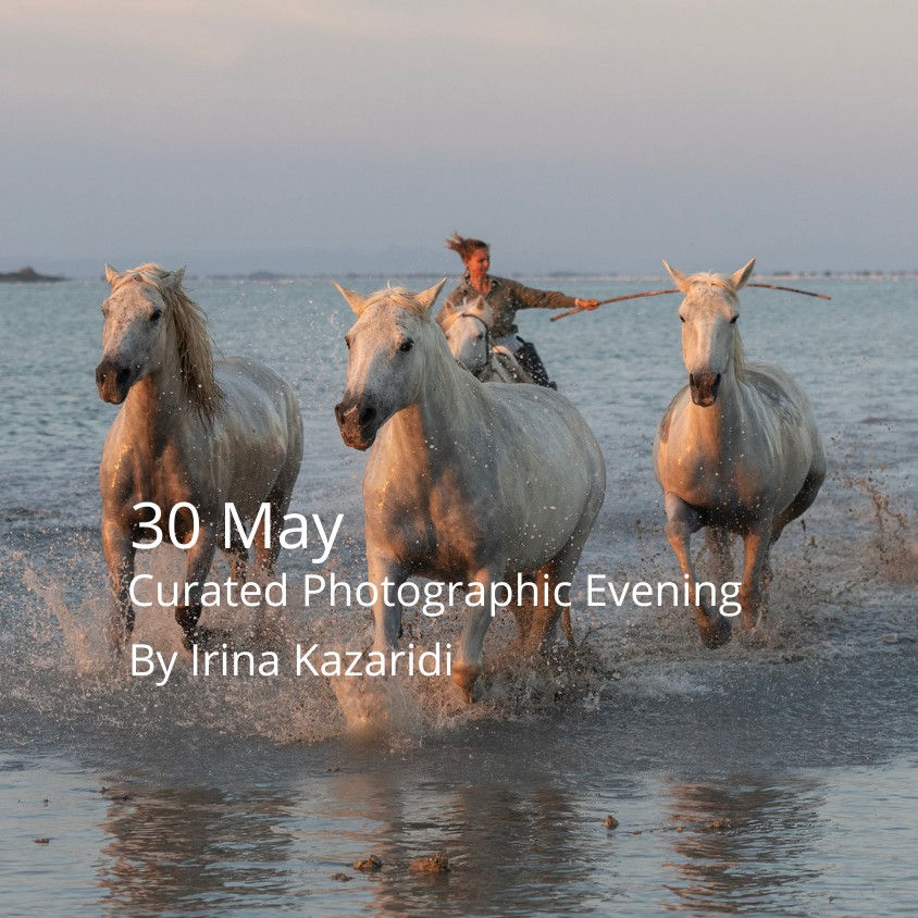 Camargue: Sunset Photographic Evening (30 May)