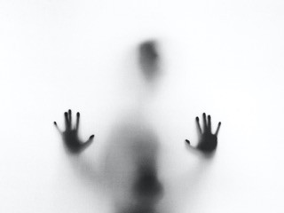 imagem cedida pelo Unsplash
