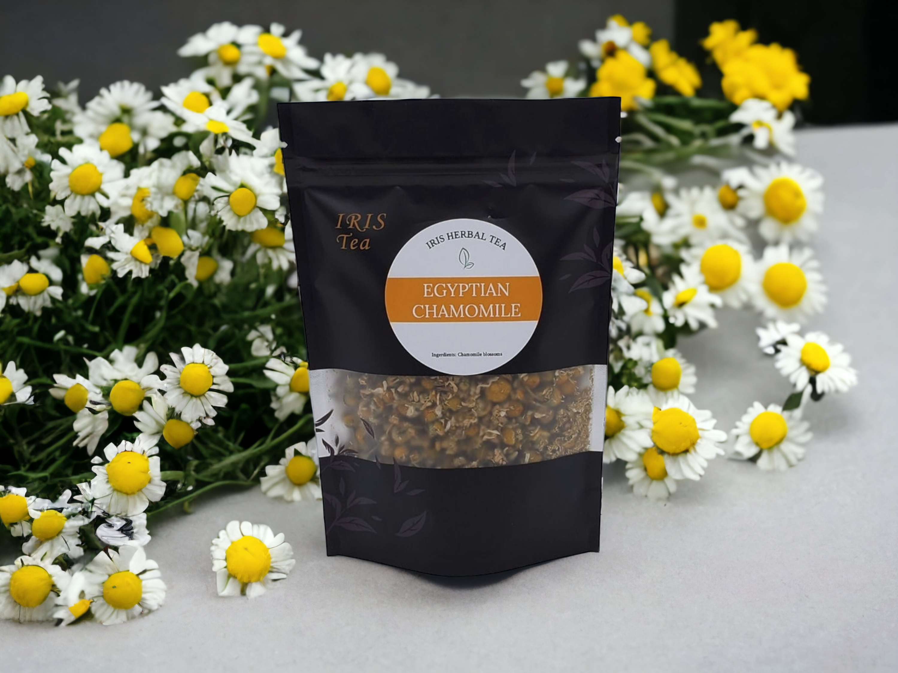 EGYPTIAN CHAMOMILE