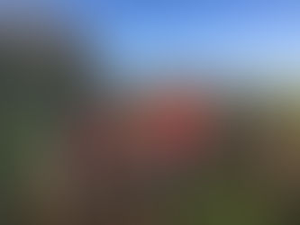 Viele Hände, schnelles Ende - Helfer bringen Arbeit am Oyther Berg voran