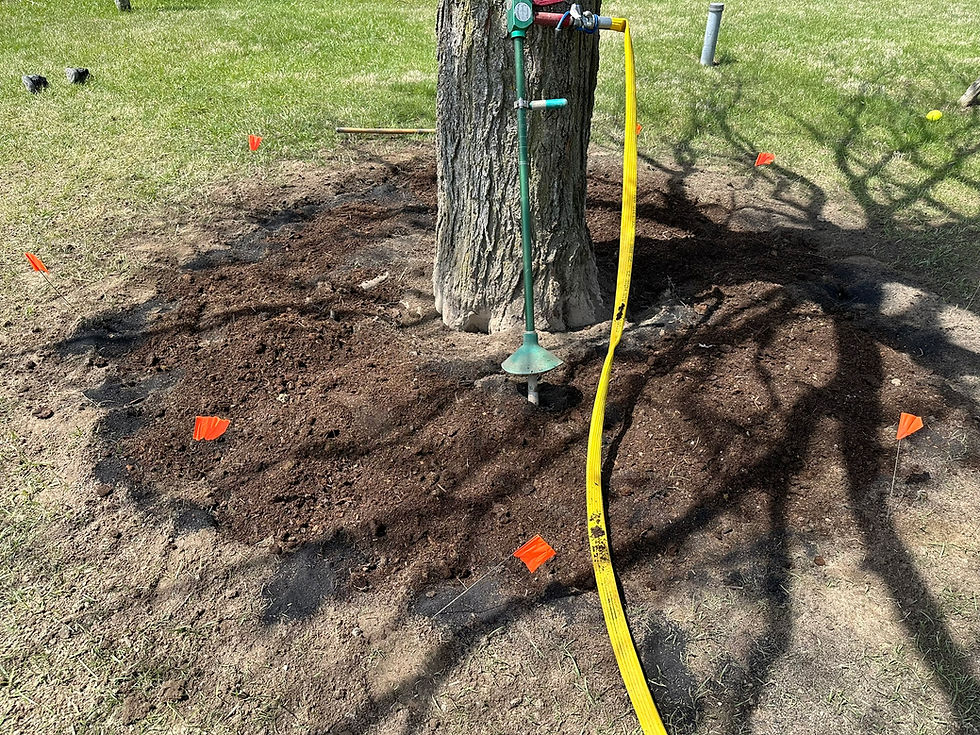 Mixing biochar and composted leaf mulch into native soil using Air Knife.