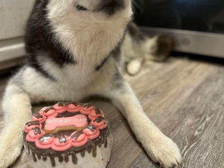 🎶 Go Neo, it’s your birthday, gonna party like it’s your birthday 🎶 