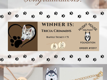 In Case You Missed the FB Live- Winner Announcement