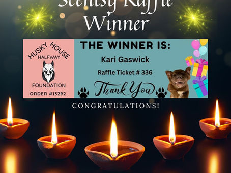 In Case You Missed It... 