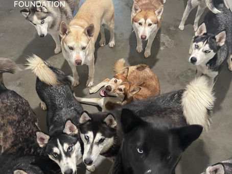 Ever Want to Feel Famous?