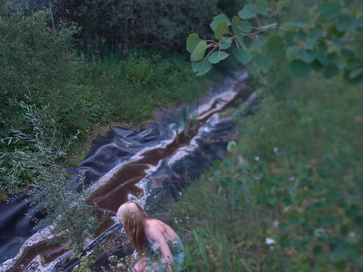 ARS Showroom #51: Mari-Leen Kiipli "Sadevee aed"