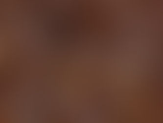 ARS Showroom #75: Heleliis Hõim "No Agenda"