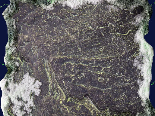 Kristina Õllek "Hüpoksilises ja kunagises troopilises vees, kas näed?"