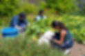 Leaf Website Images-36Web.jpg