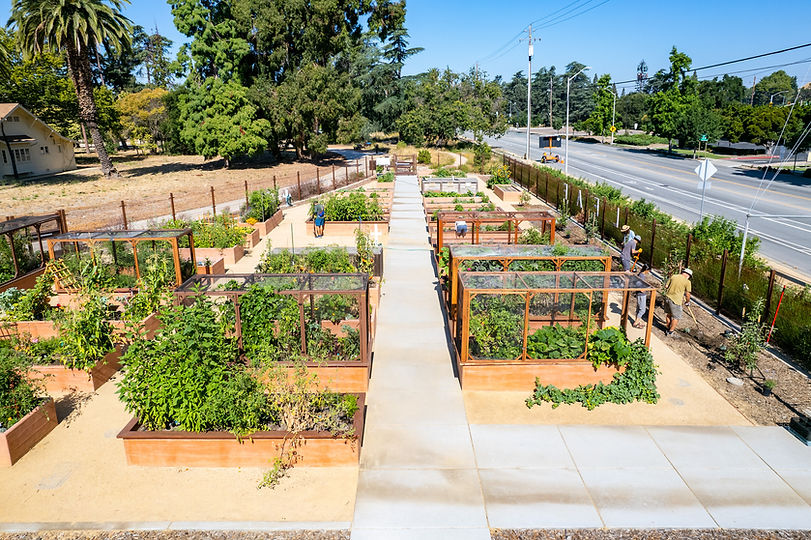 LEAF Center Beds WEB.jpg