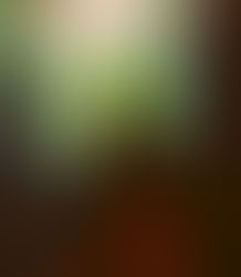 I Am Drusilla by Lucille Moncrief