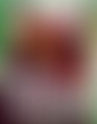 Star Trek: Starfleet Academy: The Gemini Agent by Rick Barba