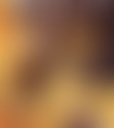 Halo: Smoke and Shadow by Kelly Gay