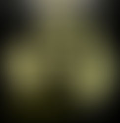 Outback by Stephen W.Cheshire