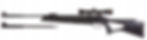 Longhorn II 10611