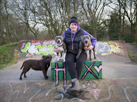 The Dog Trainer Dilemma: Red Flags, Social Media Myths & What to Look For when Training Your Dog"