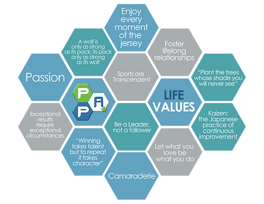 Life Values Hex (1).png