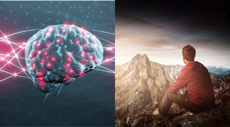 The Rise of Psychedelic-Assisted Therapy: What Mental Health Professionals Need to Know