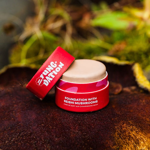 Complexion - Axiology - Fungdation - Mushroom Foundation Makeup (2).jpeg