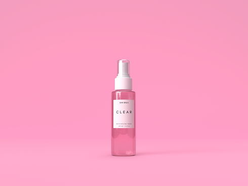 shibui 1-Scene setup.png