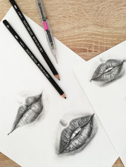 LRM_EXPORT_840250500335328_20190219_1833