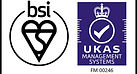 BSI Logo