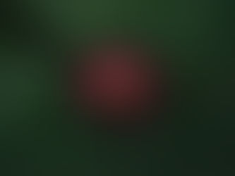 Fertility Treatment Cost: USA vs. Mexico — Why Couples Are Choosing Sacred Healing Abroad