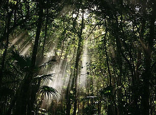 personal custom family retreat mexico mother earth connection