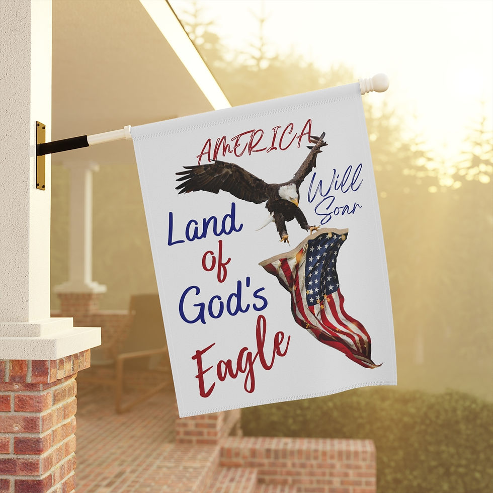 God's Eagle Will Soar Garden & House Banner (24.5 X 32)