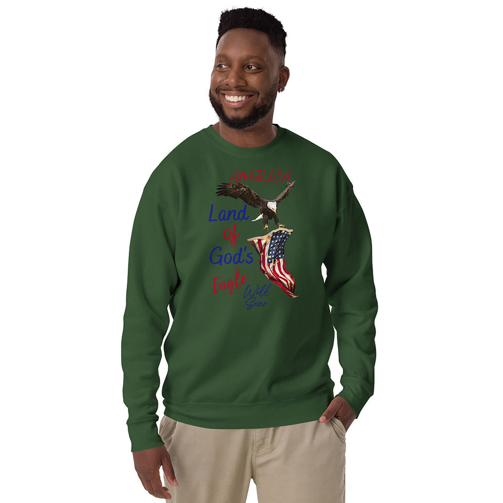 Thumbnail: God's Eagle Will Soar Premium Sweatshirt  