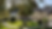 main house.png