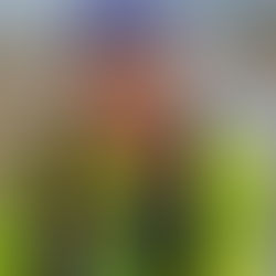 A fairly typical day for a Dad who is an ultra runner and husband