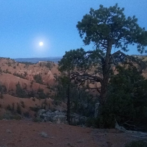 My Hurtin’ Heel in the “Hoodoo Hundred”