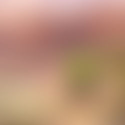 Challenge yourself to be YOUR best!