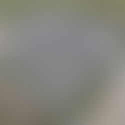 COPEL Purunã — SE 34,5 kV (Balsa Nova/PR)