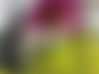 Late-Winter Garden Musings: Sprouts, Fruit Tree Pruning, and Cover Crops