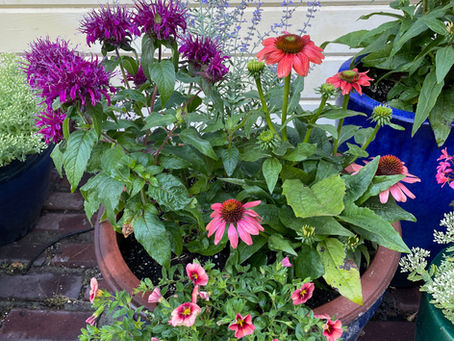 The Art of Fine Gardening: Cultivating Beauty in Your Outdoor Space