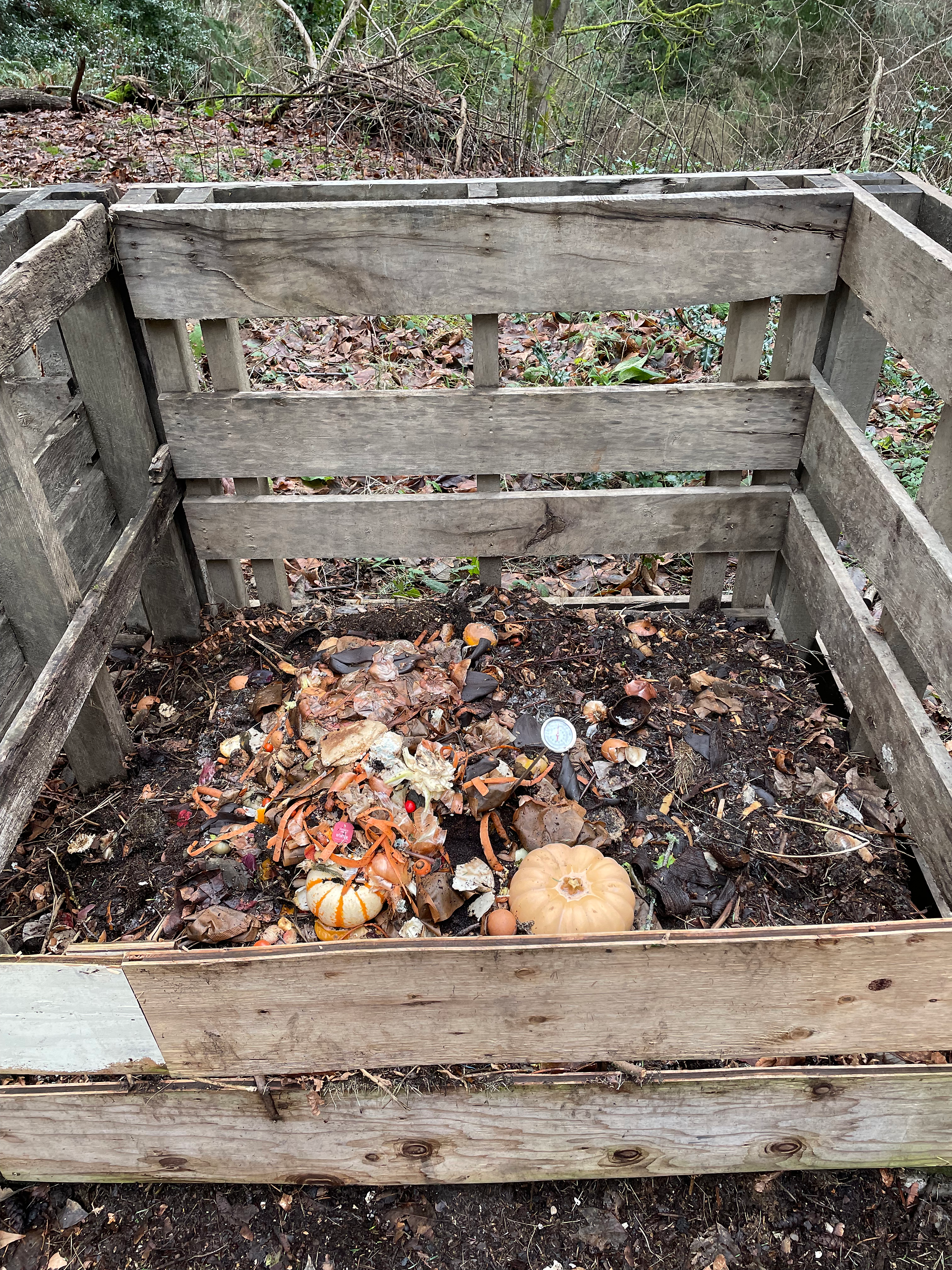 pallet compost bin with scraps