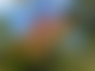 Maximizing Your Garden's Potential: 15 Essential Autumn Gardening Chores