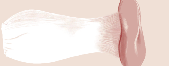 1630675221582.png