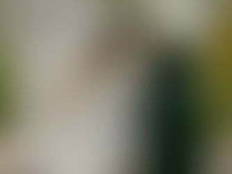 Stunned by Bel Rebel - Cannabis Reimagined 