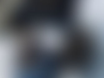 Experience Navitus Parfums