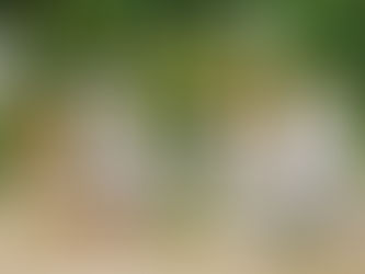 L’ Erbolario … summer scents and products