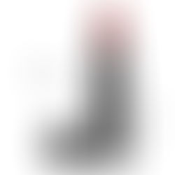 Lipstick Tuesday... Rouge Bunny Rouge Raw Silence