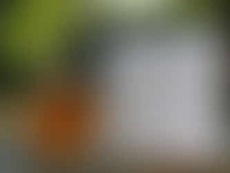 Anne Krystel8 Extrait de Parfum Review