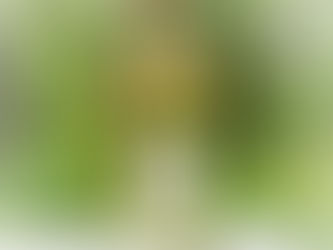 Aqua Allegoria Bergamote Calabria by Guerlain