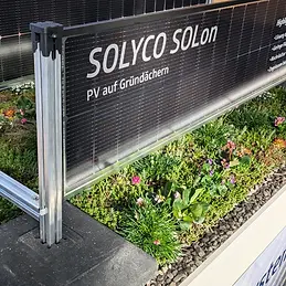 SOLon Webinar Thumbnail.webp