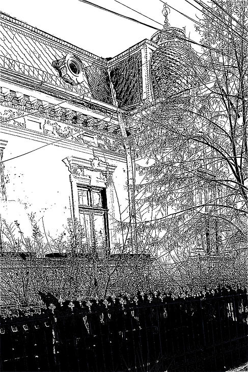 Calea Unirii 41_08143_Casa_02.jpg